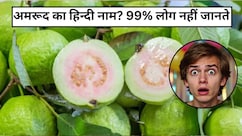 क्या आप जानते हैं अमरूद का हिन्दी नाम? 99% लोग नहीं जानते