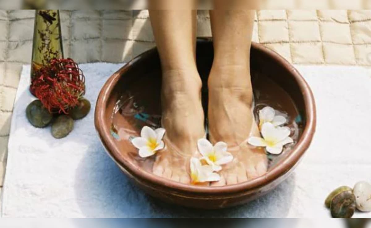 Latest and Breaking News on NDTV