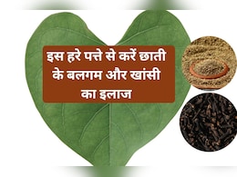 इस हरे पत्ते पर लौंग और अजवाइन लगाकर खाने से, छाती का बलगम हो जाएगा साफ और खांसी भी जाएगी रुक