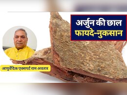 आयुर्वेद एक्&zwj;सपर्ट ने बताए अर्जुन की छाल के 10 रामबाण फायदे और नुकसान, जान लें अर्जुन की छाल कब नहीं लेनी चाहिए