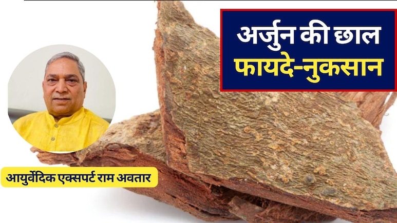 आयुर्वेद एक्&zwj;सपर्ट ने बताए अर्जुन की छाल के 10 रामबाण फायदे और नुकसान, जान लें अर्जुन की छाल कब नहीं लेनी चाहिए