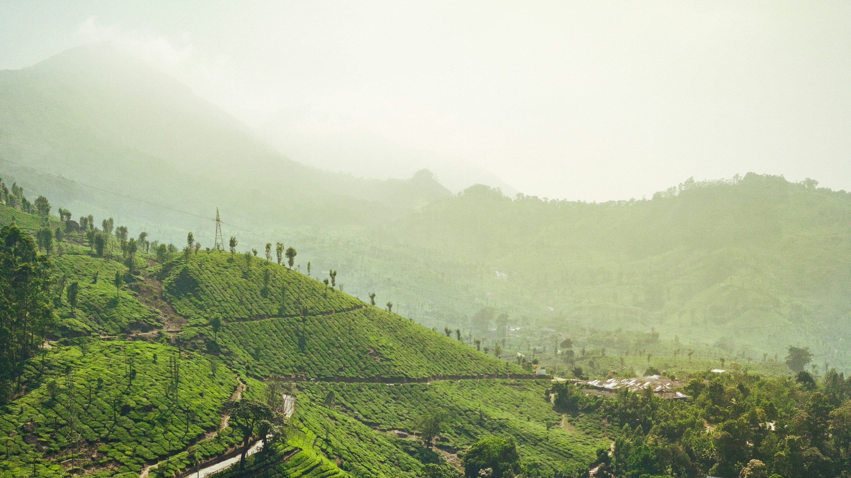 Domestic Tourism An Emerging Sector To Watch, Says Shikhara Investment's Rahul Chadha