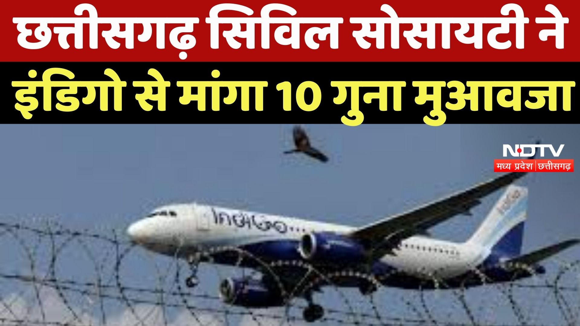 Raipur News : Indigo Airlines को Notice, लगातार Flight Canceled होने पर Civil Society सख्त