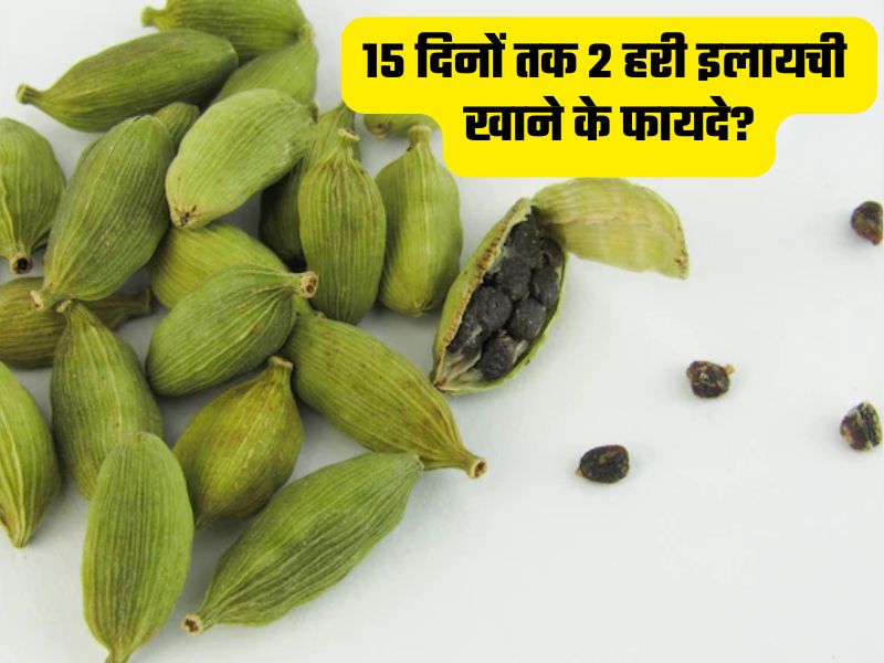 डॉक्टर ने बताया 15 दिन तक खाने के बाद चबा लें 2 हरी इलायची, फायदे जानकर उड़ जाएंगे होश