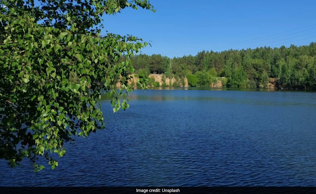 Man Drowns While Keeping 7YearOld Son Afloat After Kayak Capsizes In