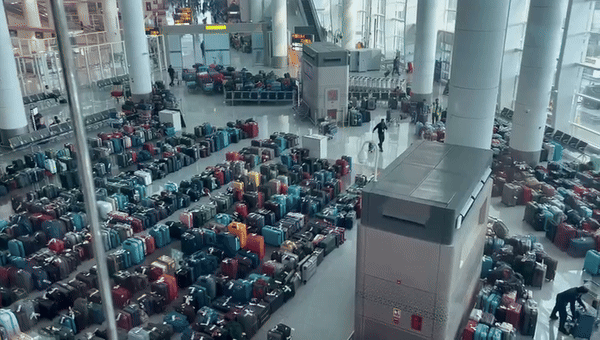 सूटकेसों का 'सैलाब'... दिल्‍ली एयरपोर्ट का ये नजारा देख चकरा जाएगा आपका सिर