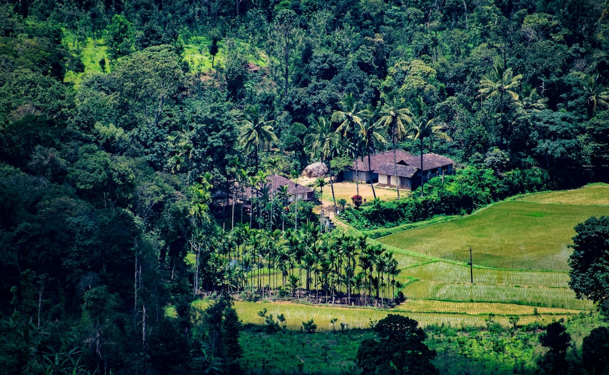 Latest and Breaking News on NDTV Latest and Breaking News on NDTV