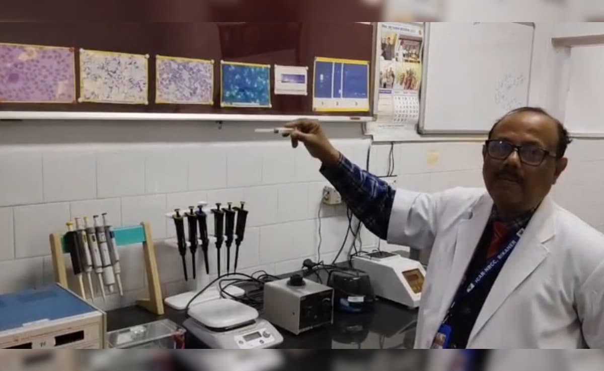 Latest and Breaking News on NDTV Latest and Breaking News on NDTV