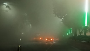 हर तरफ घना कोहरा... सर्दी गायब पर पूरा दिल्ली NCR सफेद चादर में लिपटा, जानें कब बारिश से मौसम पलटने के आसार