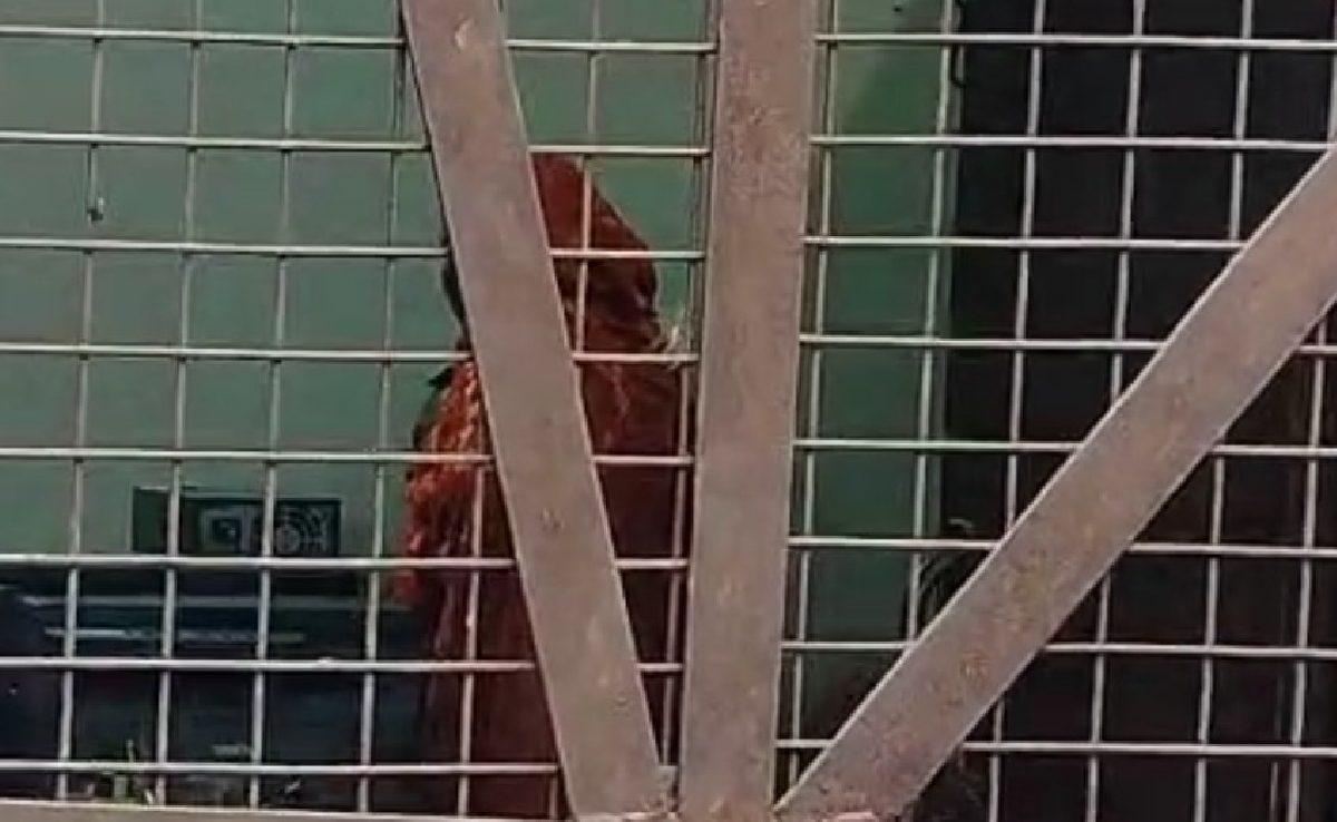 संभल में भारत की नागरिकता मांगने पहुंचे छह बांग्लादेशी, मीडिया के कैमरे देख छिपने लगे