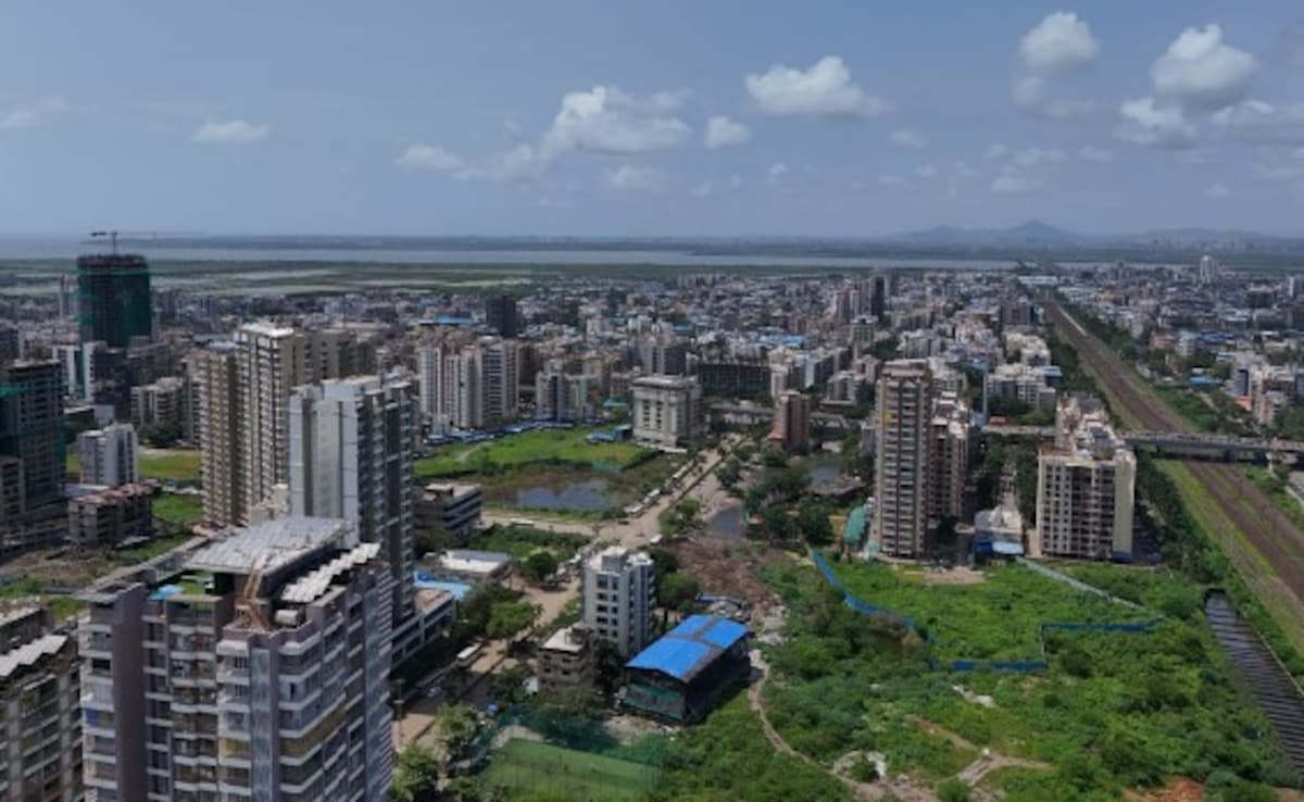 The Art of Baking: From Classic Bread to Artisan Pastries