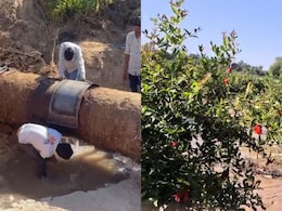 Rajasthan: जालोर में नर्मदा पाइपलाइन फटी, अनार और जीरे की कई बीघे की फसल बर्बाद; किसान बोले- 10वीं बार हुआ