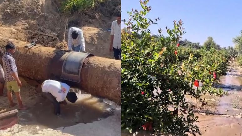 Rajasthan: जालोर में नर्मदा पाइपलाइन फटी, अनार और जीरे की कई बीघे की फसल बर्बाद; किसान बोले- 10वीं बार हुआ