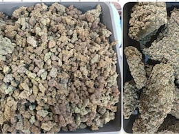 मुंबई एयरपोर्ट पर बड़ी कार्रवाई, बैंकॉक से आए 5 यात्रियों से 42.9 किलो हाइड्रोपोनिक वीड जब्त