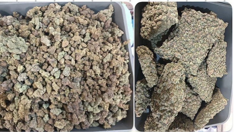 मुंबई एयरपोर्ट पर बड़ी कार्रवाई, बैंकॉक से आए 5 यात्रियों से 42.9 किलो हाइड्रोपोनिक वीड जब्त