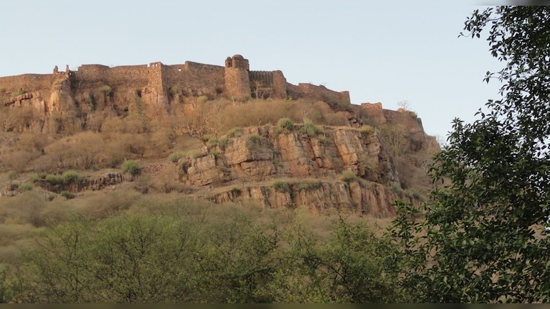रणथम्भौर की पहाड़ियों पर हो सकेगा खनन, सुप्रीम कोर्ट ने अरावली से माना बाहर