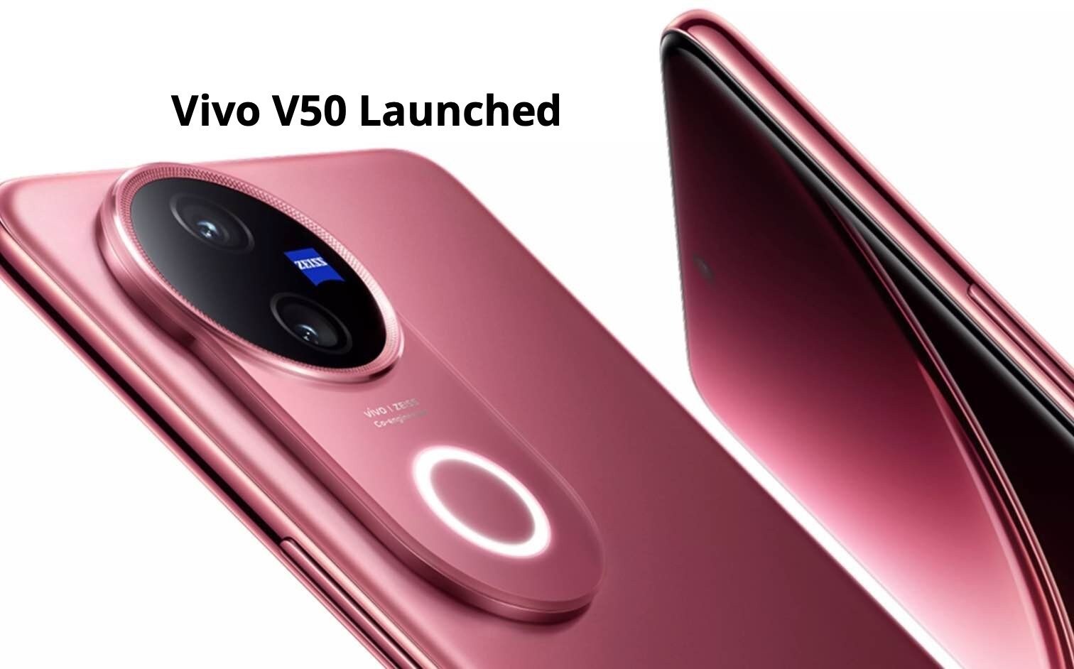 Vivo V50 Launched! Price To Specs, Everything You Need To Know; Will Rival OnePlus 12R, iQOO Neo 9 Pro