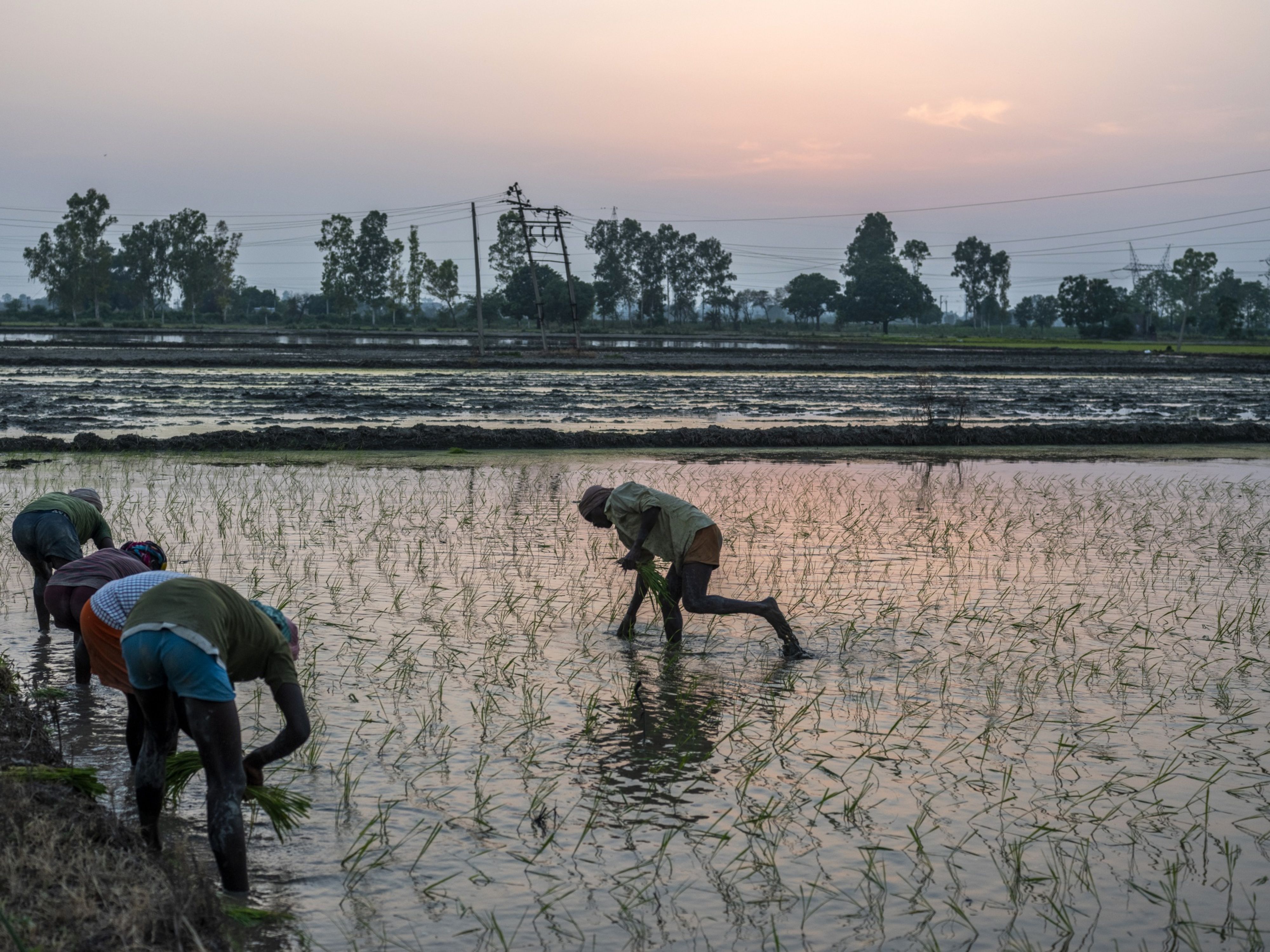 India&rsquo;s Rural Economy Can Resist The Tide, But Can&rsquo;t Steer The Boat