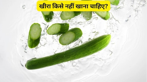 खीरा किसे नहीं खाना चाहिए? ये 4 लोग बना लें दूरी, नहीं तो पड़ जाएंगे लेने के देने