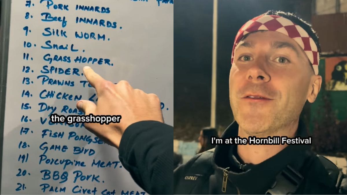 Porcupine, Snail, Grasshopper And More: Menu At Nagaland's Hornbill Festival 2025 Goes Viral