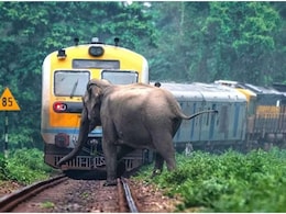 अब AI बचाएगा हाथियों की जान, 500 मीटर पहले ही ट्रेन ड्राइवर को मिल जाएगा अलर्ट!