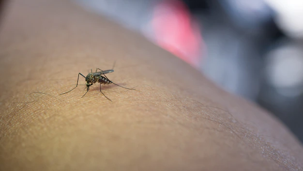 World's Second Malaria Vaccine Gets WHO Approval: Serum Institute Of India