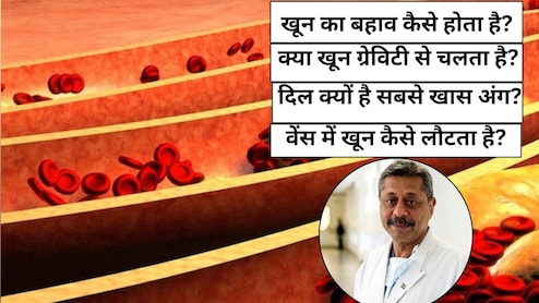 डॉक्टर ने बताया खून सिर्फ ग्रेविटी से नहीं चलता, बल्कि वेंस में ऐसे लौटता है Blood