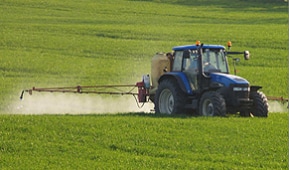 Sharda Cropchem Q4 Review - Ends The Year On A Positive Note: Prabhudas Lilladher