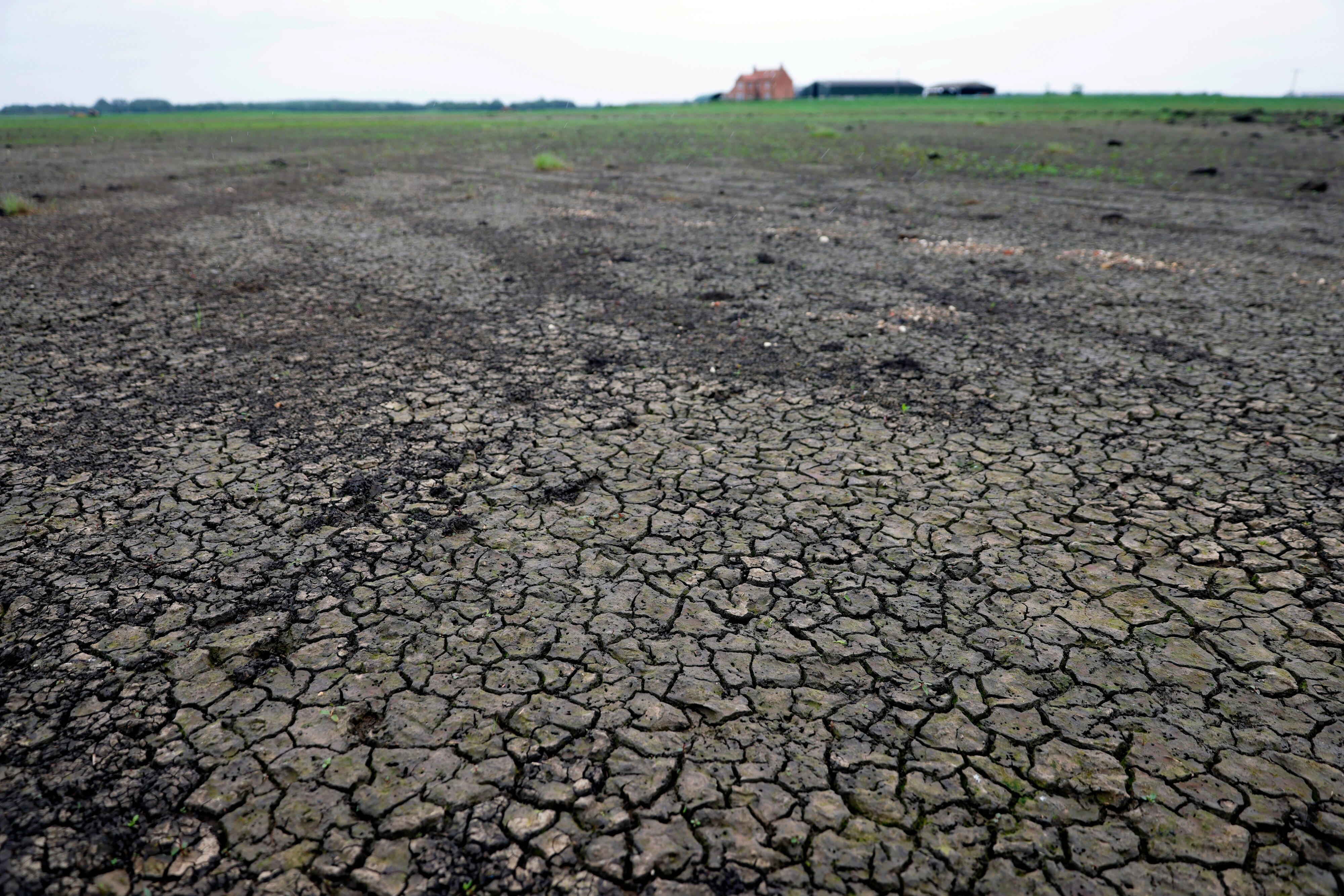 Extreme Weather Around The World Risks Boosting Food Bills