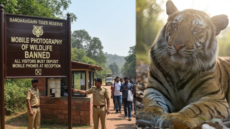 बांधवगढ़ टाइगर रिजर्व में मोबाइल कैमरे पर पूर्ण प्रतिबंध, पर्यटक अब वन्यजीवों की तस्वीरें नहीं खींच पाएंगे