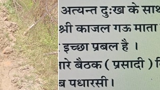 गाय की मौत पर शोक सभा का आयोजन, कार्ड छपवाकर गांव को दिया निमंत्रण