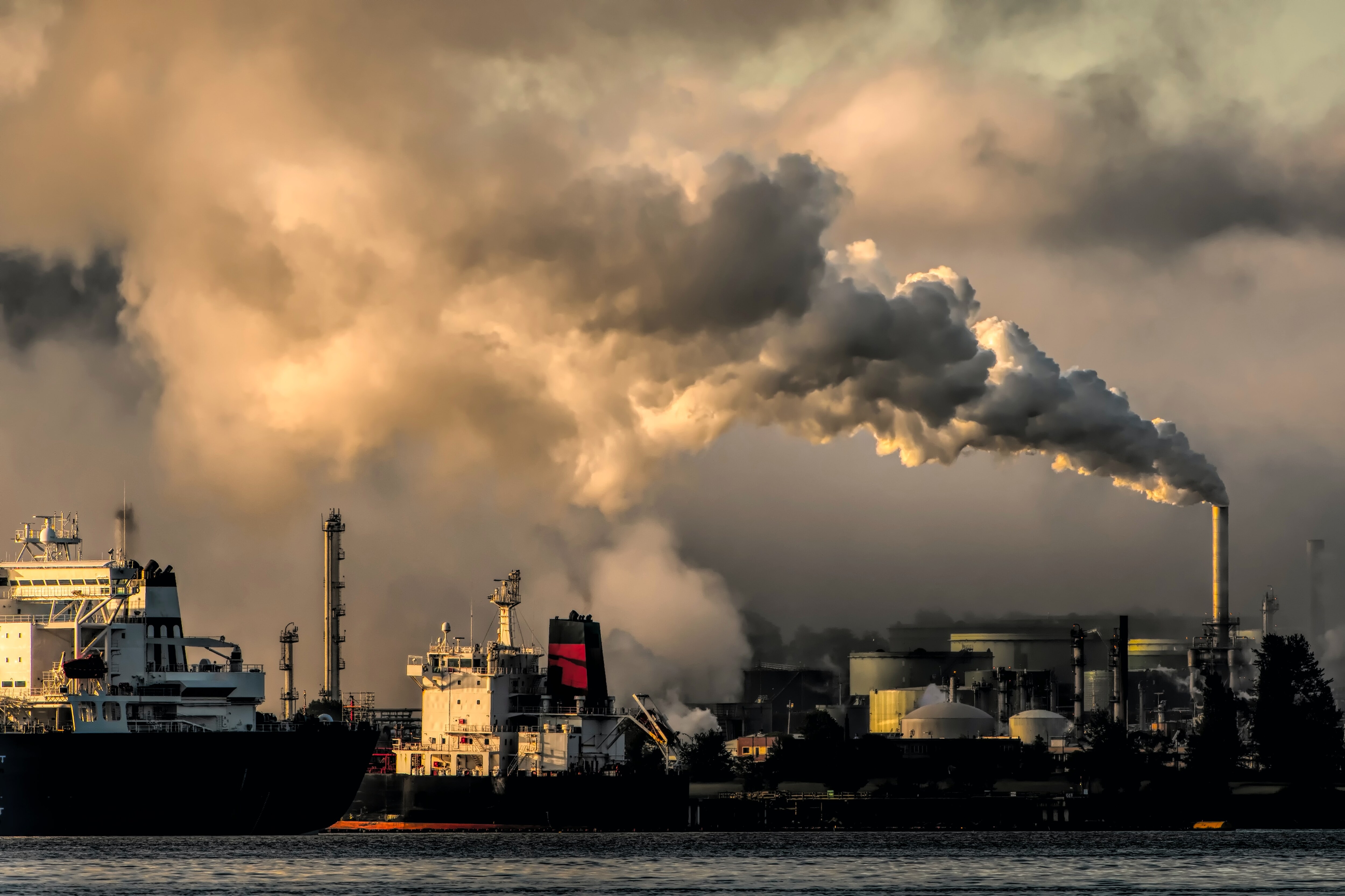 COP27 Tackled The Consequences Of Climate Change, But Not The Cause&mdash;Fossil Fuels&nbsp;