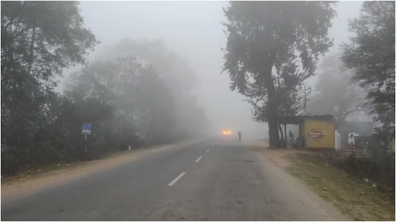 देश के फेमस हिल स्टेशनों से भी ठंडा MP का शहडोल, पारा 3.4 डिग्री, घना कोहरा भी छाया; कहां से आ रही सर्द हवा?