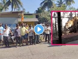 Raigad News: अलिबागच्या 'या' पर्यटनस्थळी बिबट्याचा शिरकाव, 3 जणांवर हल्ला, 2 जखमी..व्हिडीओ पाहून थरकापच उडेल