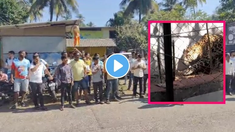 Raigad News: अलिबागच्या 'या' पर्यटनस्थळी बिबट्याचा शिरकाव, 3 जणांवर हल्ला, 2 जखमी..व्हिडीओ पाहून थरकापच उडेल