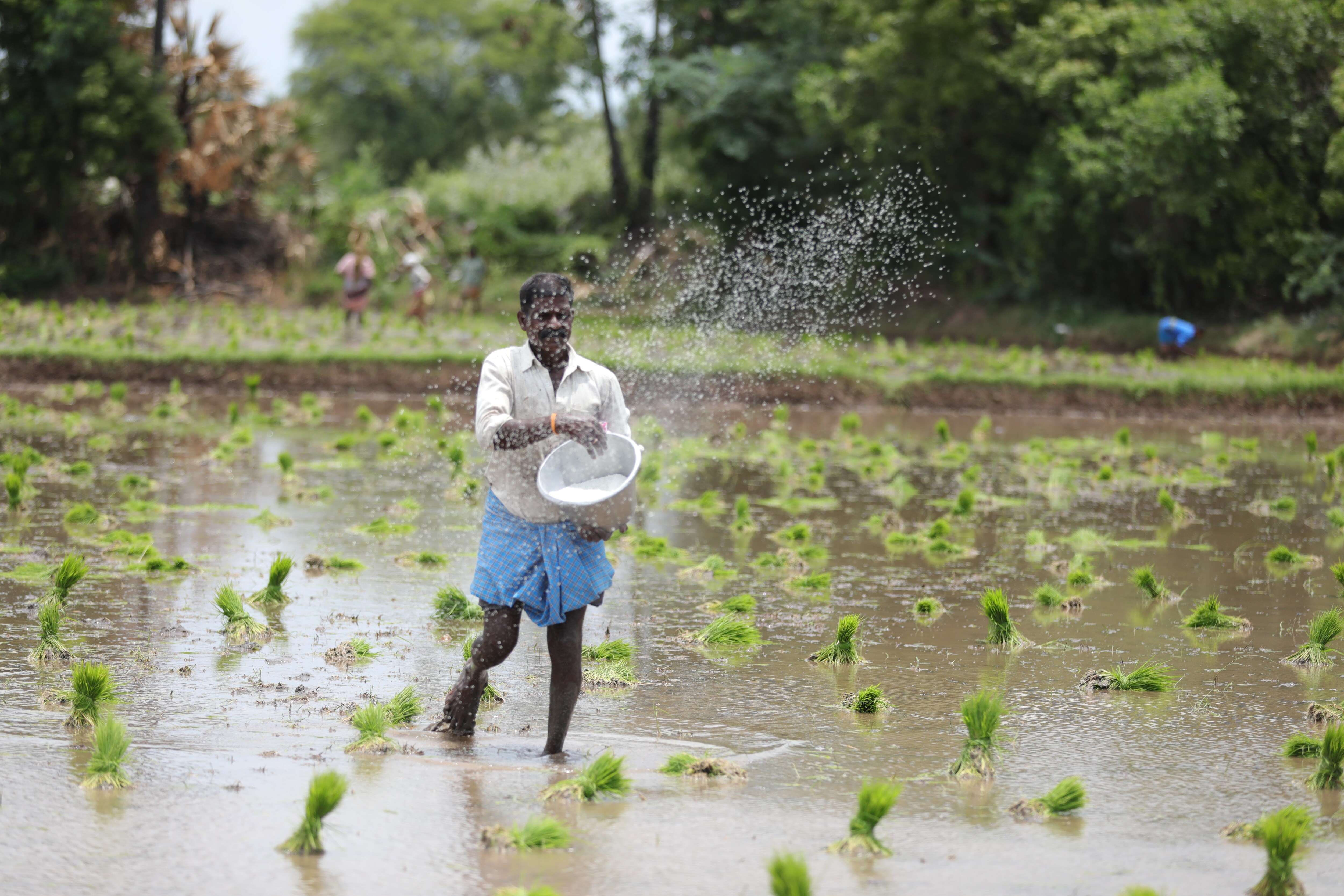 How A Deficient Monsoon Impacts Rabi Sowing &mdash; BQ Explains