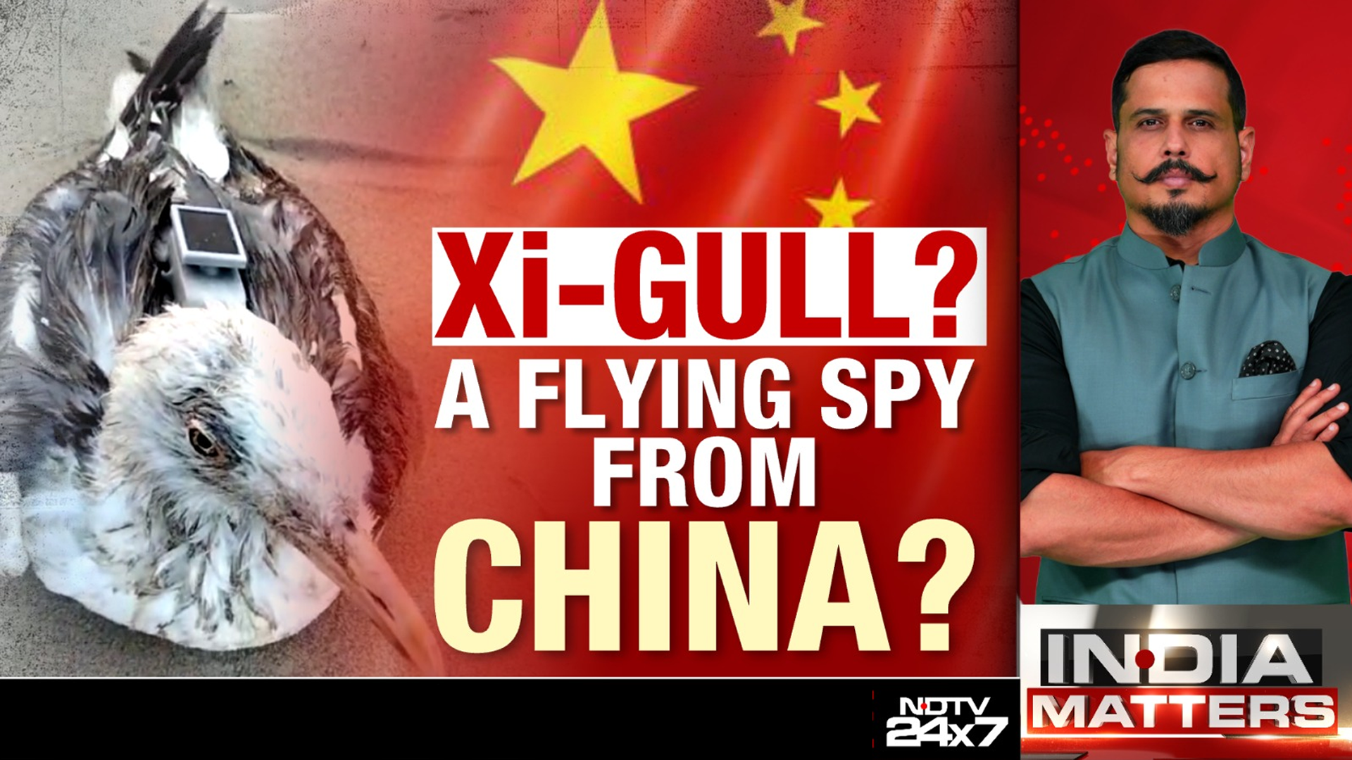 Is China Using Birds To Spy?