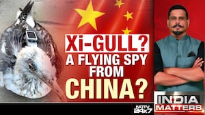 Is China Using Birds To Spy?