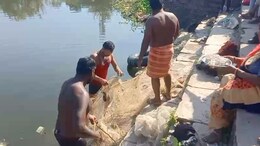 दमोह में तालाब बना मौत का कुंड, हजारों मछलियां एक साथ मरीं, पानी में क&zwj;िसने म&zwj;िला जहर?