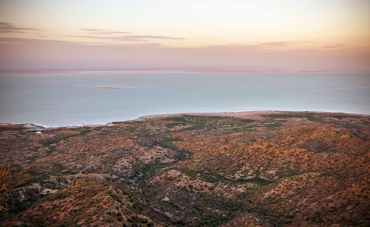 Latest and Breaking News on NDTV Latest and Breaking News on NDTV