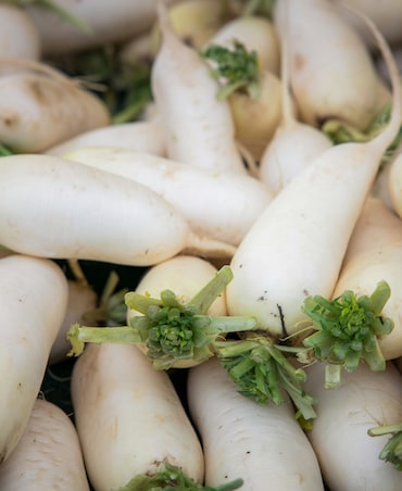 Health Benefits Of Eating Radish