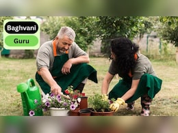 Gardening Guru: पौधों को पानी देने के बाद क्यों सूख रहा है पौधा? भूलकर भी न करें बागवानी की ये गलतियां