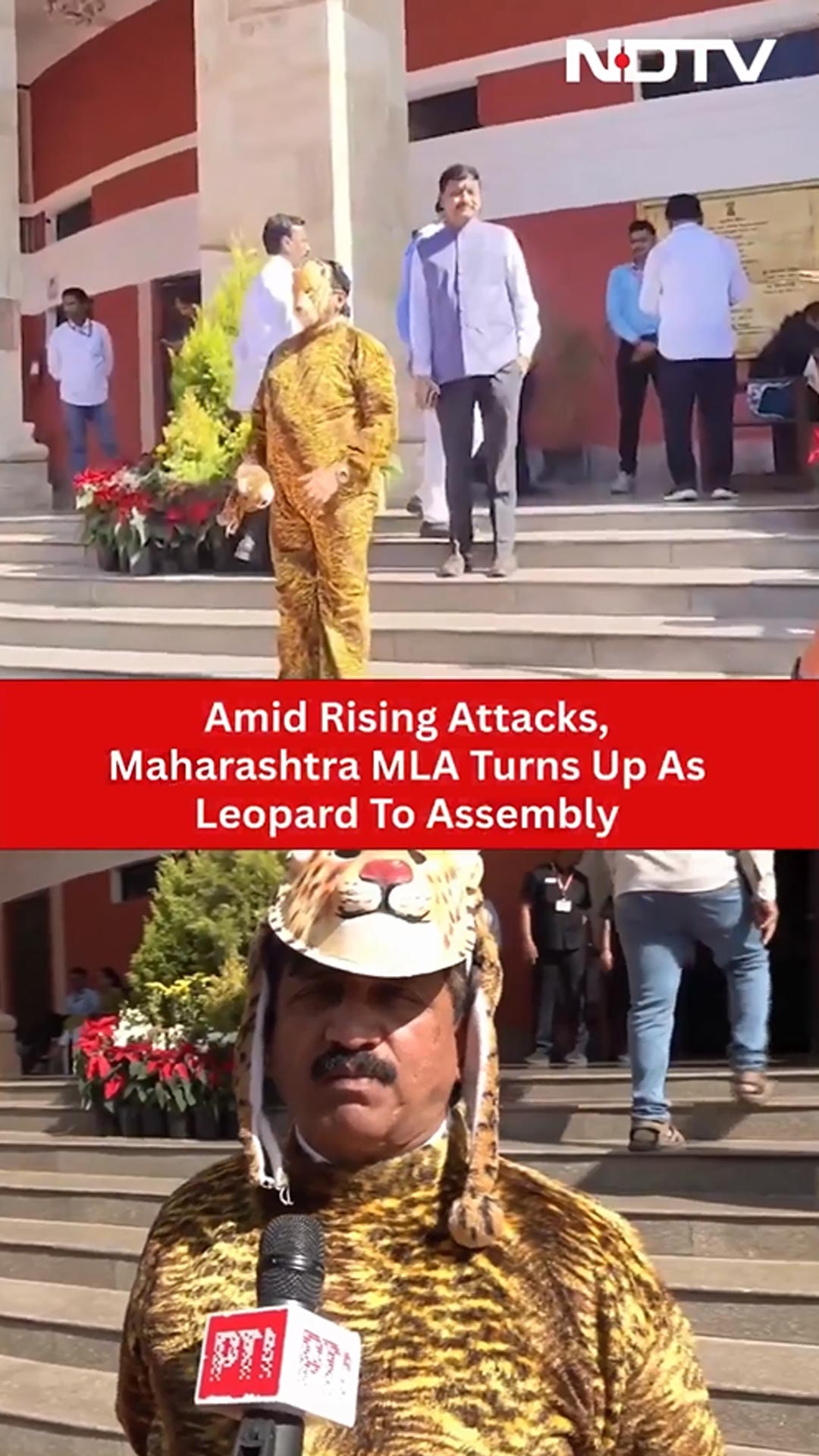 Amid Rising Attacks, Maharashtra MLA Turns Up As Leopard To Assembly