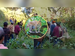 10 साल के बच्चे को तेंदुआ उठा ले गया, ग्रामीणों ने लगाई जान की बाजी, फिर भी नहीं बची मासूम की जान