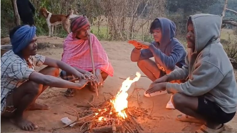 एमपी में सर्दी का सितम! कोहरे की चपेट में 20 से ज्यादा जिले, 24 जिलों के स्कूलों में छुट्टी