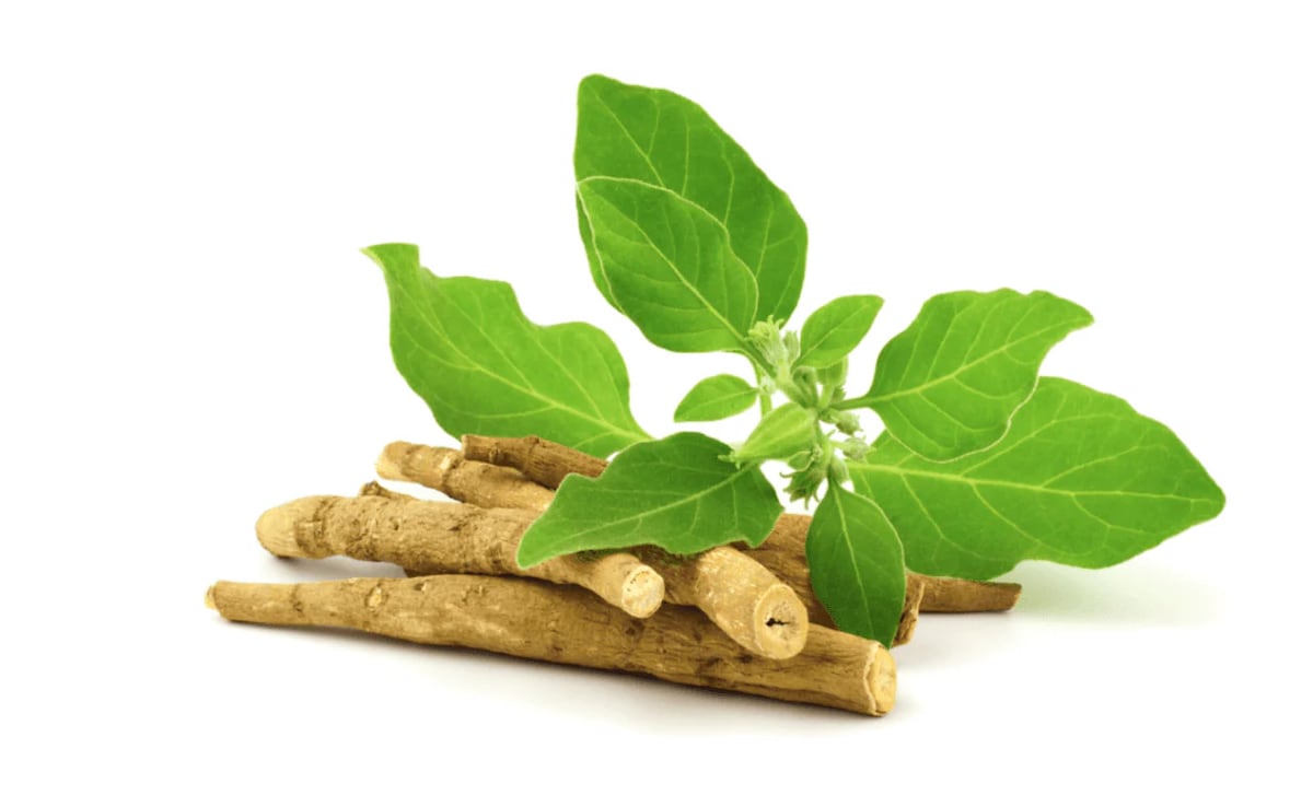 Ashwagandha Benefits And Use In The Spotlight At WHO's Global Traditional Medicine Summit 2025