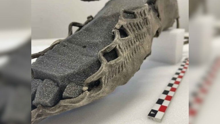 1700 साल पहले कैसा होता था इंसान का जूता, पहाड़ की बर्फ से मिला चौंकाने वाला सबूत