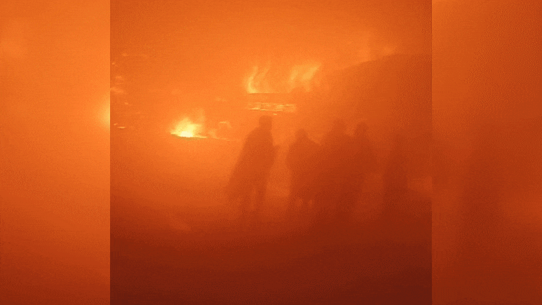 आग की ऊंची लपटे, धू-धू कर जलती बस, दिल दहला रहा है यमुना एक्सप्रेस वे पर हुए हादसे का यह वीडियो