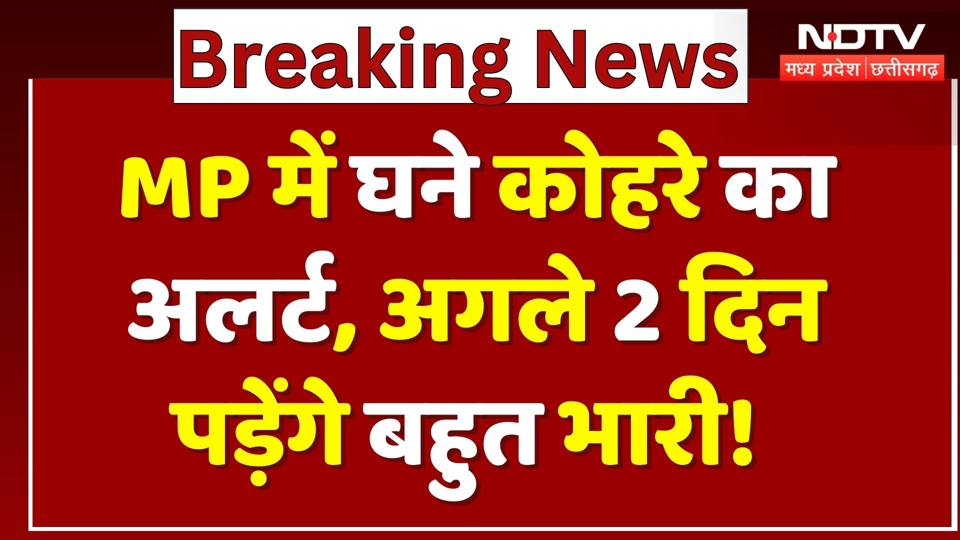 MP Weather Alert: घने कोहरे का अलर्ट, अगले 2 दिन पड़ेंगे बहुत भारी! | Cold Wave | MP | Winter | Top