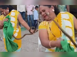 VIDEO: नागिन का खौफनाक बदला...दीदी करने चली थी काबू, लेकिन फुफकार कर पकड़ा गाल और गड़ा दिए दांत